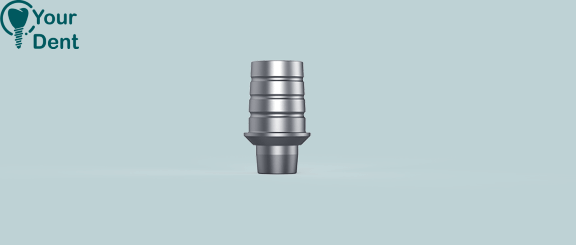 Ti Base With Round Base - טי בייס עם בסיס עגול