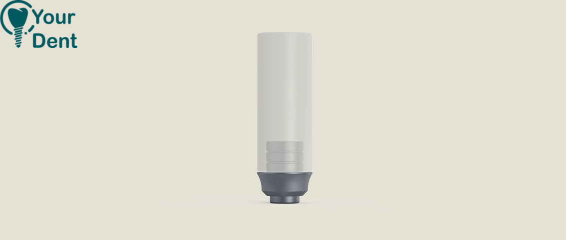 Castable Plastic Abutment Titanium Base Round - מבנה פלסטיק ליציקה עם בסיס טיטניום עגול
