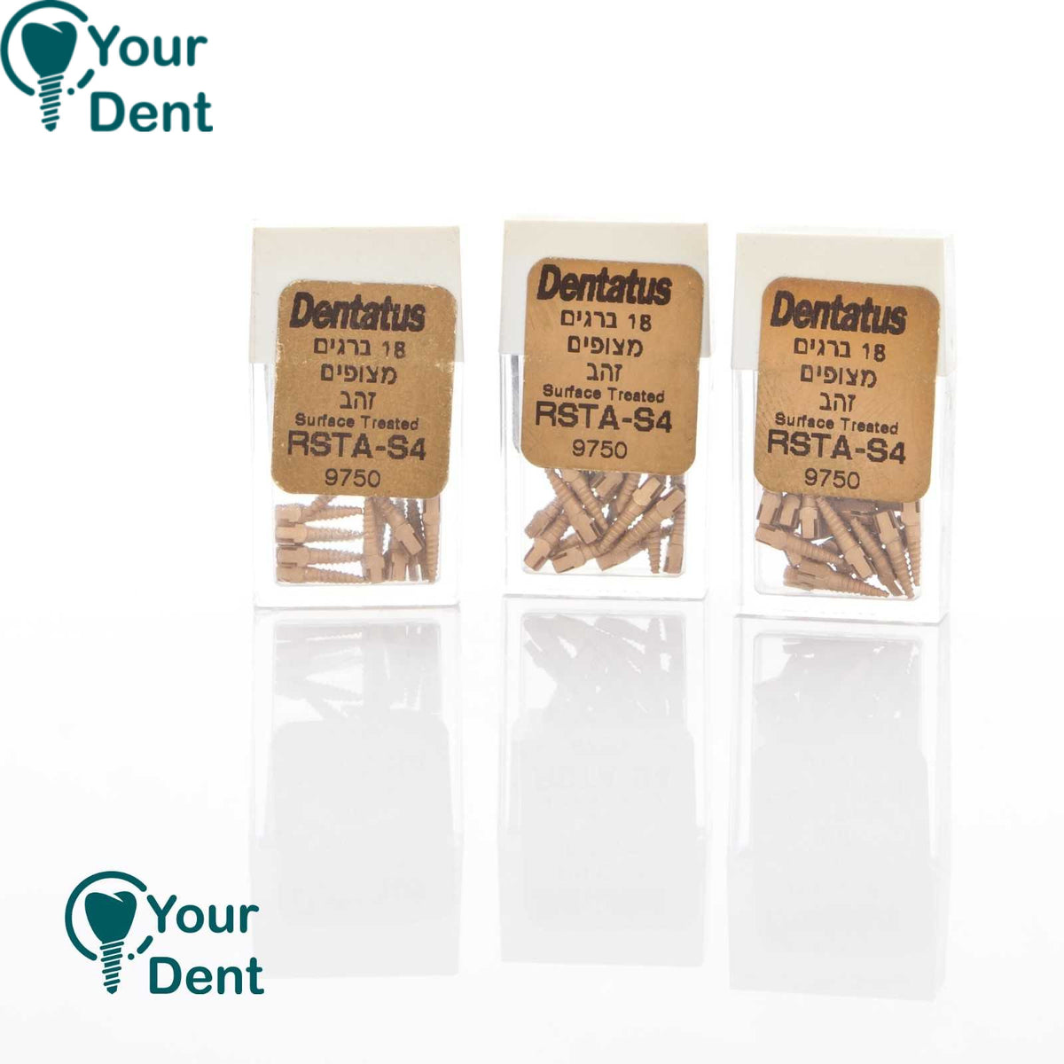 דנטטוס מקורי - Genue Dentatus