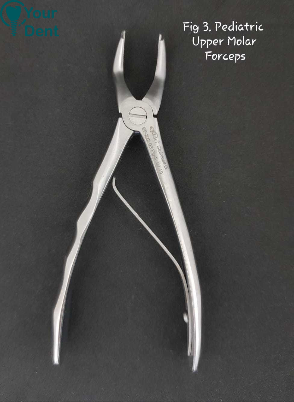 Fig 3. Pediatric Upper Molar Forceps - צבת ילדים מולר עליון