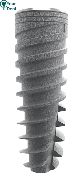 Porous Implant