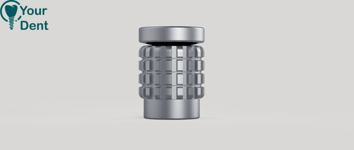 Ratchet 10mm Adaptor - מתאם לרצ'ט
