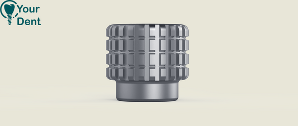Ratchet 12mm Adaptor - מתאם לרצ"ט
