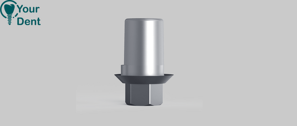 טי בייס לאמאן גירבאך בסיס משושה - Amann Girrbach Compatible Ti Base Hex