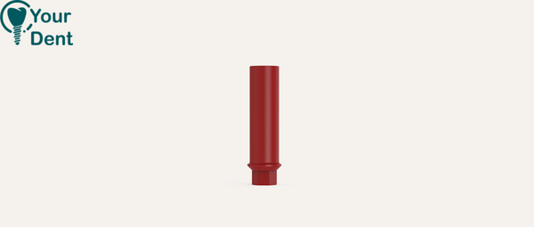 Castable Plastic Abutment Hex - מבנה פלסטיק ליציקה ישר עם משושה