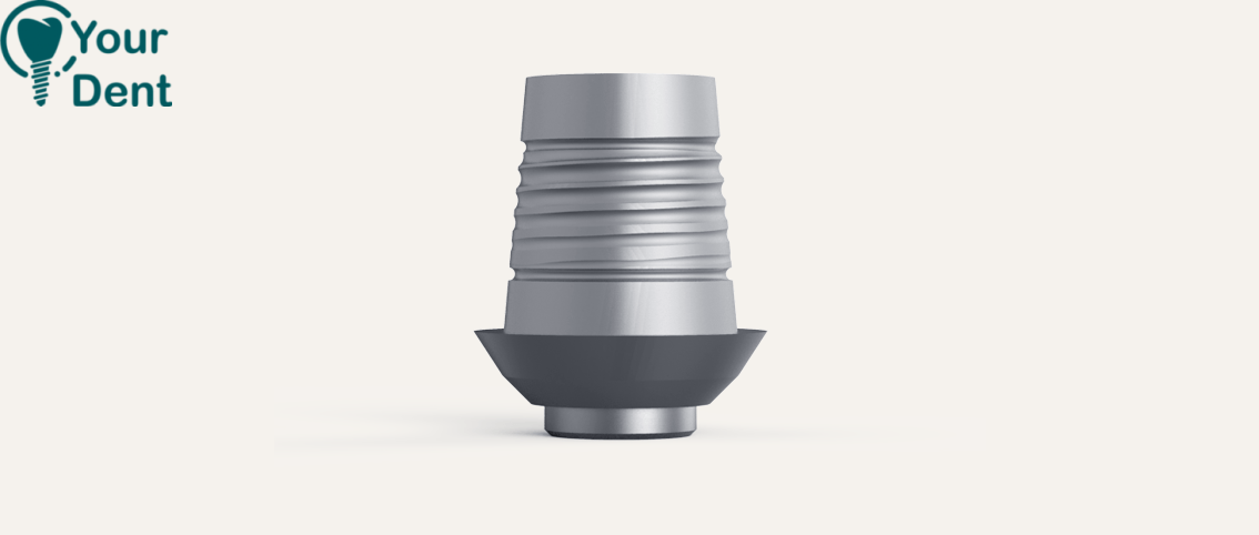 Ti Base Zirkon Zahn Round Base - טי בייס לזירקון זאן בסיס עגול