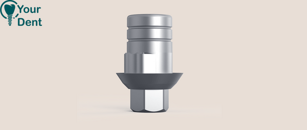 Zirkon Zahn Ti Base Hex - טי בייס לזירקון זאן עם בסיס משושה