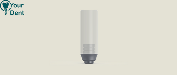 Castable Plastic Abutment Titanium Base Round - מבנה פלסטיק ליציקה עם בסיס טיטניום עגול