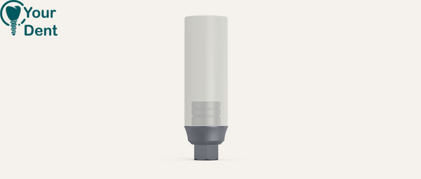Castable Plastic Abutment Titanium Base Hex - מבנה פלסטיק ליציקה עם בסיס טיטניום משושה