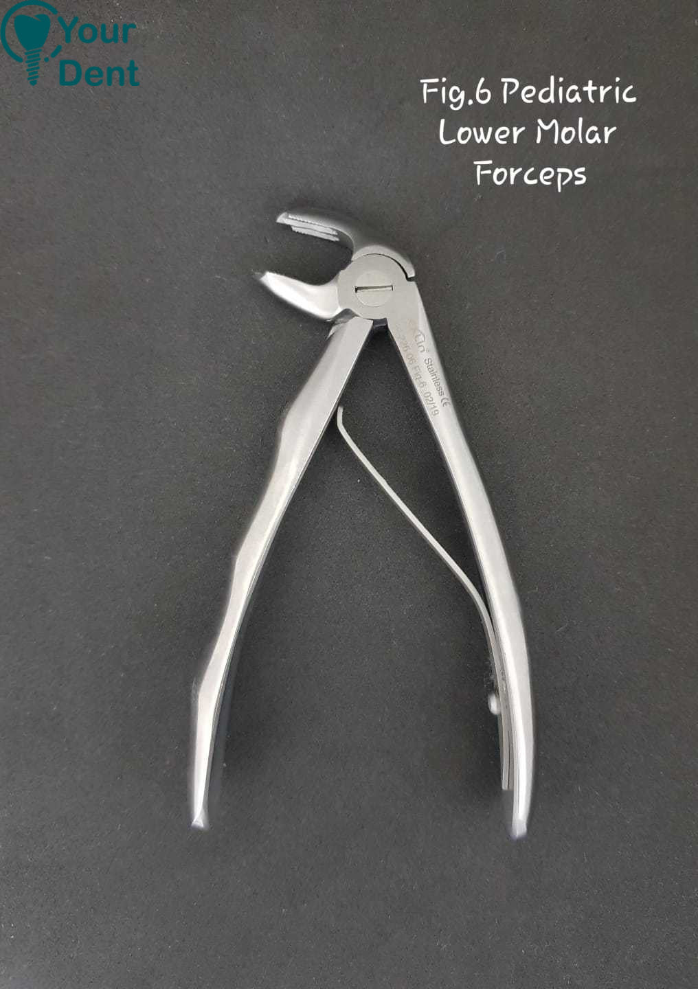 Pediatric Lower Molar Forceps - צבת ילדים מולר תחתון